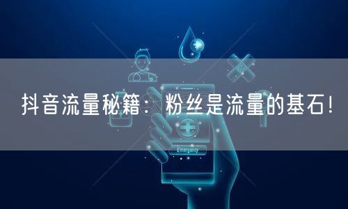 抖音流量秘籍：粉丝是流量的基石！