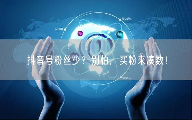 抖音号粉丝少？别怕，买粉来凑数！