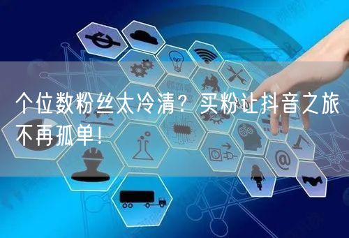 个位数粉丝太冷清？买粉让抖音之旅不再孤单！