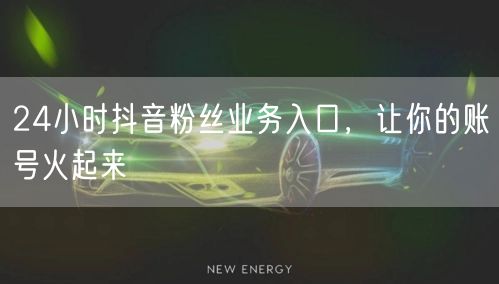 24小时抖音粉丝业务入口，让你的账号火起来