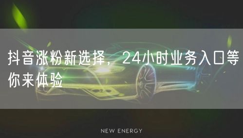 抖音涨粉新选择，24小时业务入口等你来体验