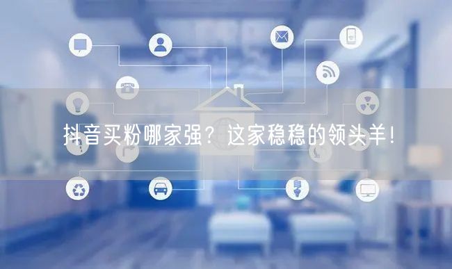 抖音买粉哪家强？这家稳稳的领头羊！