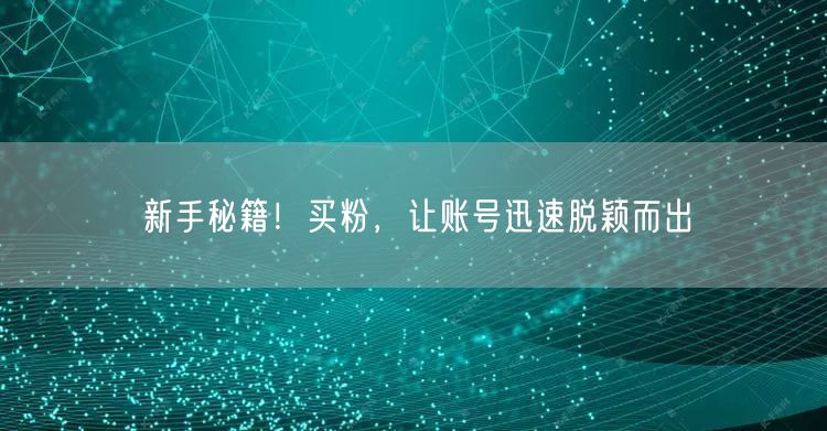 新手秘籍！买粉，让账号迅速脱颖而出