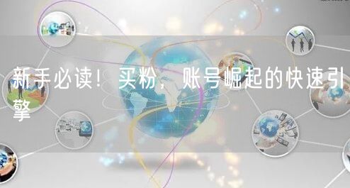 新手必读！买粉，账号崛起的快速引擎