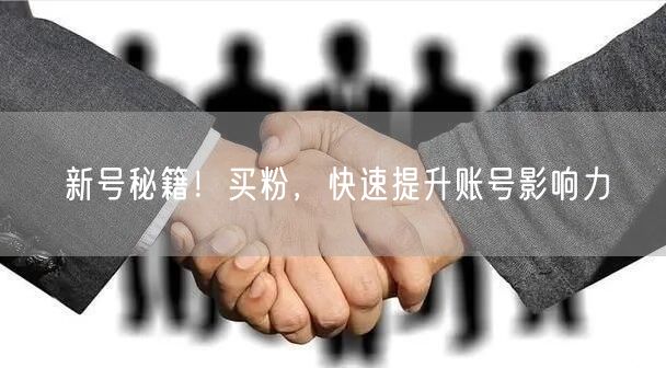 新号秘籍！买粉，快速提升账号影响力