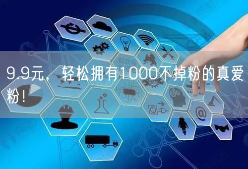 9.9元，轻松拥有1000不掉粉的真爱粉！