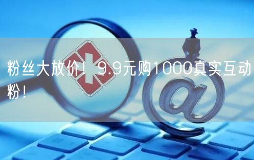 粉丝大放价！9.9元购1000真实互动粉！
