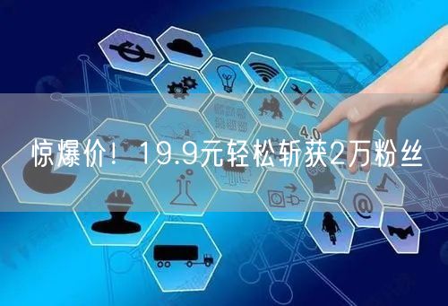 惊爆价！19.9元轻松斩获2万粉丝