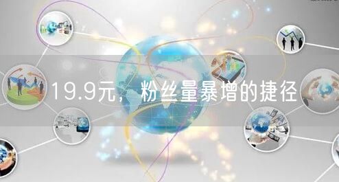 19.9元，粉丝量暴增的捷径