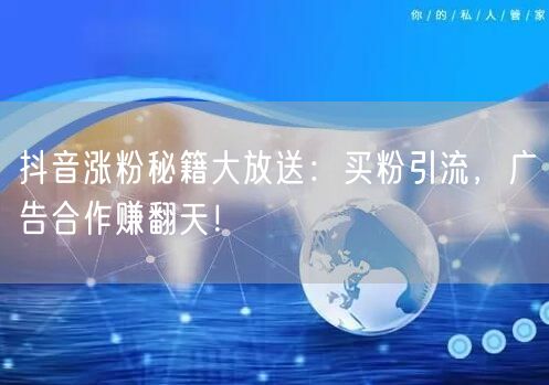 抖音涨粉秘籍大放送：买粉引流，广告合作赚翻天！