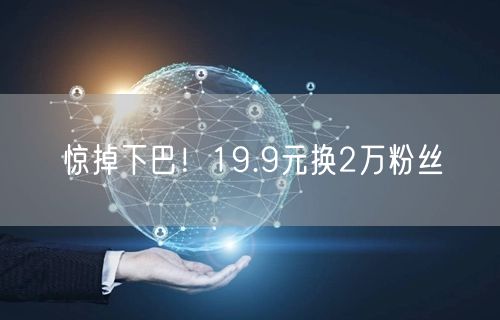 惊掉下巴！19.9元换2万粉丝