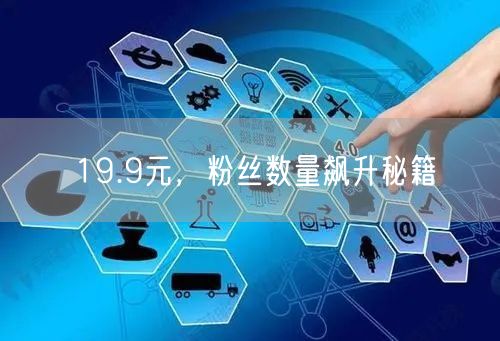 19.9元，粉丝数量飙升秘籍