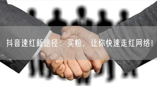 抖音速红新途径：买粉，让你快速走红网络！