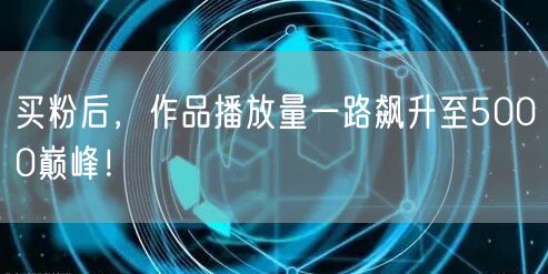 买粉后，作品播放量一路飙升至5000巅峰！