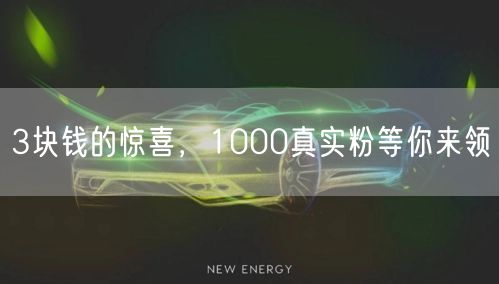 3块钱的惊喜，1000真实粉等你来领