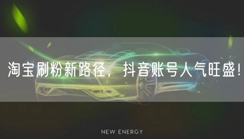 淘宝刷粉新路径，抖音账号人气旺盛！
