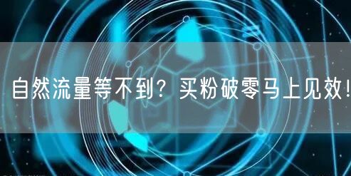 自然流量等不到？买粉破零马上见效！