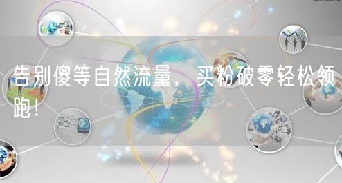 告别傻等自然流量，买粉破零轻松领跑！