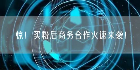 惊！买粉后商务合作火速来袭！