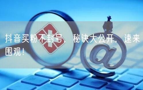 抖音买粉不封号，秘诀大公开，速来围观！