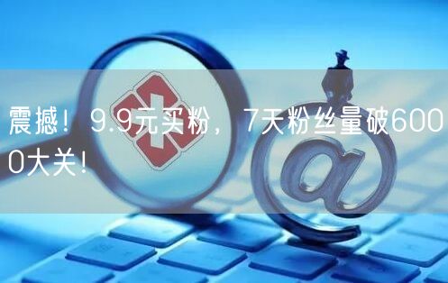 震撼！9.9元买粉，7天粉丝量破6000大关！