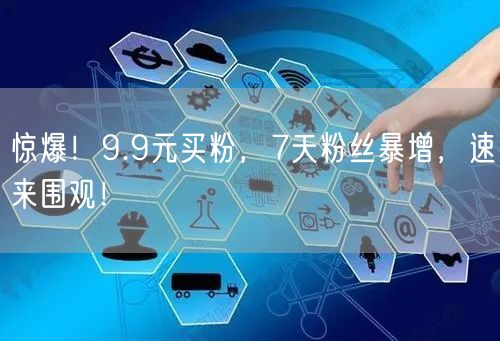 惊爆！9.9元买粉，7天粉丝暴增，速来围观！
