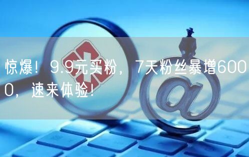 惊爆！9.9元买粉，7天粉丝暴增6000，速来体验！