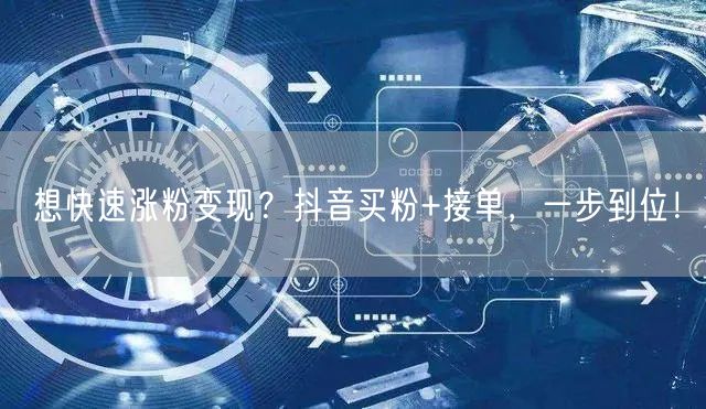 想快速涨粉变现？抖音买粉+接单，一步到位！