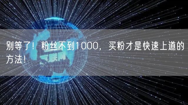 别等了！粉丝不到1000，买粉才是快速上道的方法！