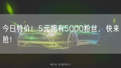 今日特价！5元拥有5000粉丝，快来抢！