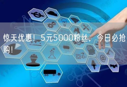 惊天优惠！5元5000粉丝，今日必抢购！