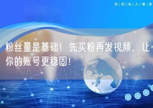 粉丝量是基础！先买粉再发视频，让你的账号更稳固！
