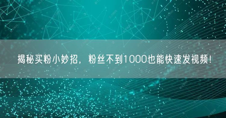 揭秘买粉小妙招，粉丝不到1000也能快速发视频！