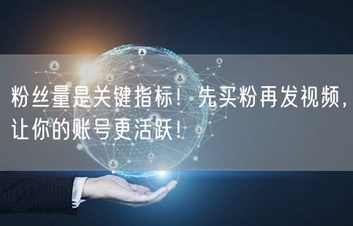 粉丝量是关键指标！先买粉再发视频，让你的账号更活跃！