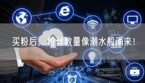 买粉后，粉丝数量像潮水般涌来！