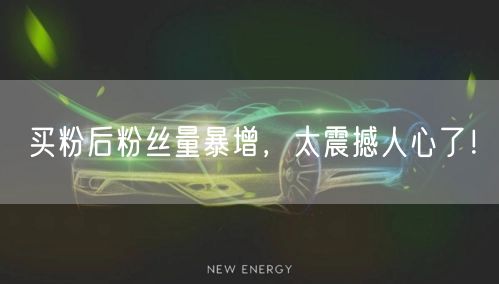 买粉后粉丝量暴增，太震撼人心了！