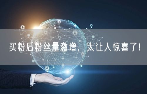 买粉后粉丝量激增，太让人惊喜了！