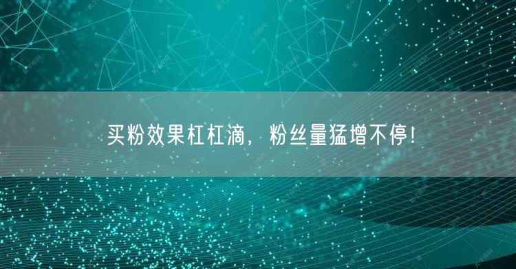 买粉效果杠杠滴，粉丝量猛增不停！