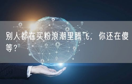 别人都在买粉浪潮里腾飞，你还在傻等？
