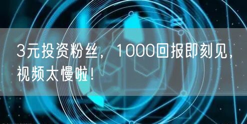 3元投资粉丝，1000回报即刻见，视频太慢啦！