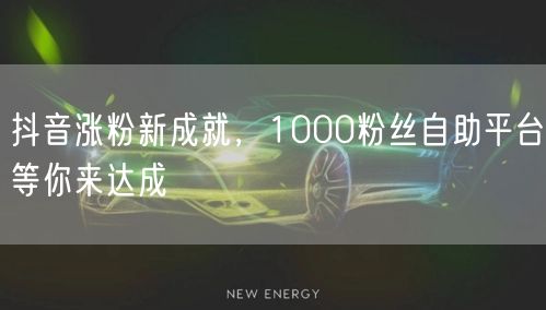 抖音涨粉新成就，1000粉丝自助平台等你来达成