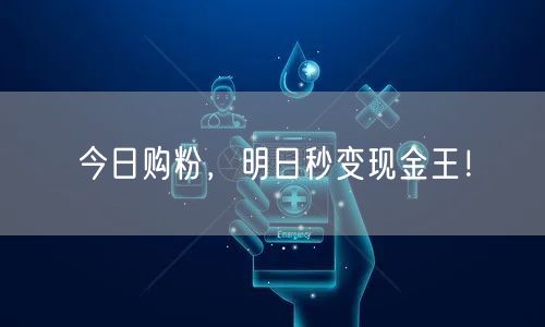 今日购粉，明日秒变现金王！