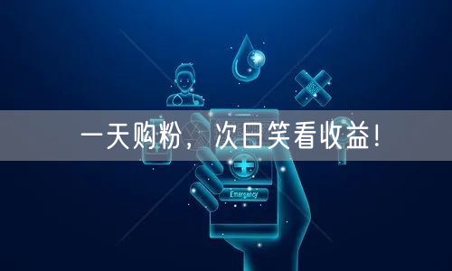 一天购粉，次日笑看收益！