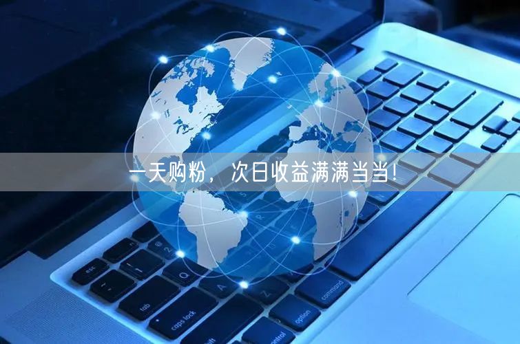 一天购粉，次日收益满满当当！
