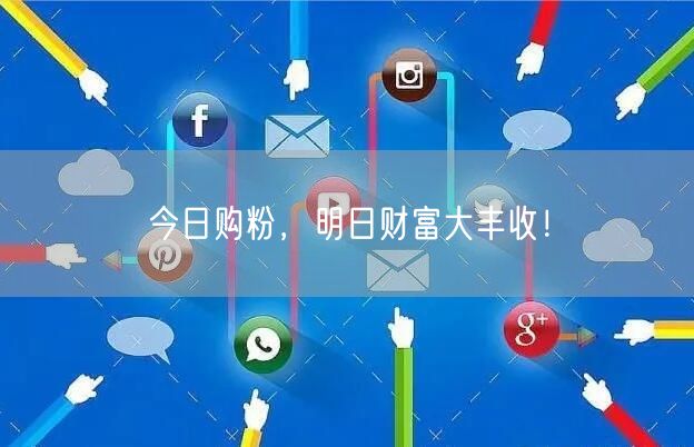 今日购粉，明日财富大丰收！