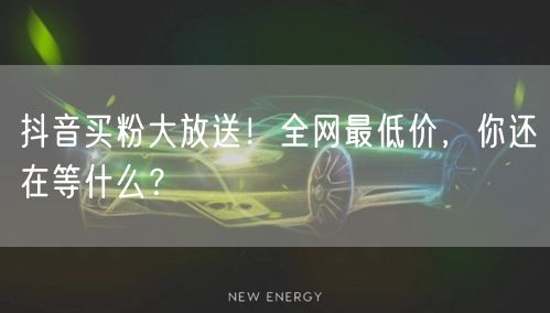 抖音买粉大放送！全网最低价，你还在等什么？