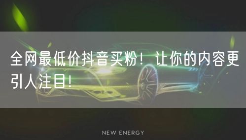 全网最低价抖音买粉！让你的内容更引人注目！