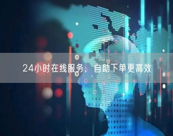 24小时在线服务，自助下单更高效