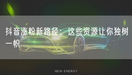 抖音涨粉新路径：这些资源让你独树一帜