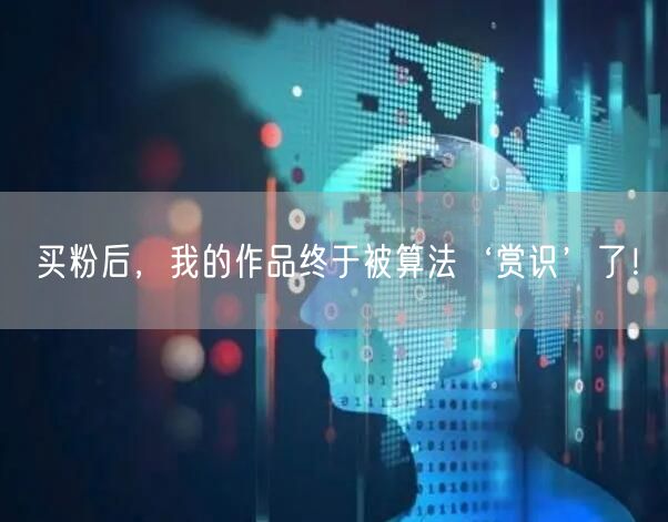 买粉后，我的作品终于被算法‘赏识’了！